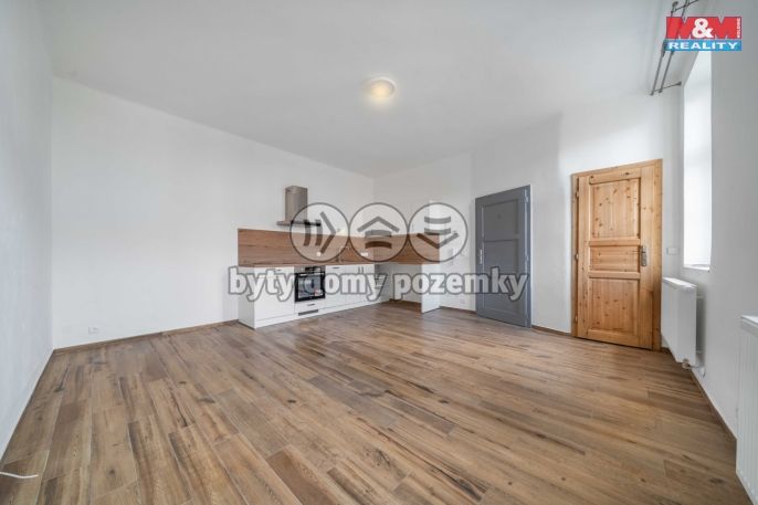 Pronájem, Byt 1+kk, Plzeň