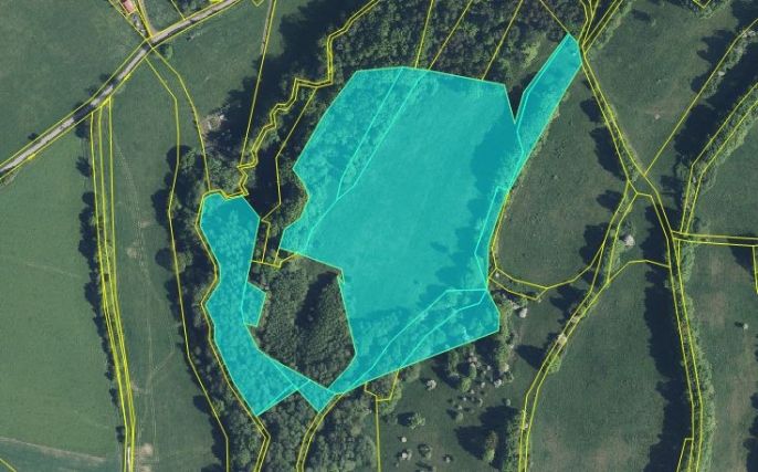 Prodej, Louka, Stružnice