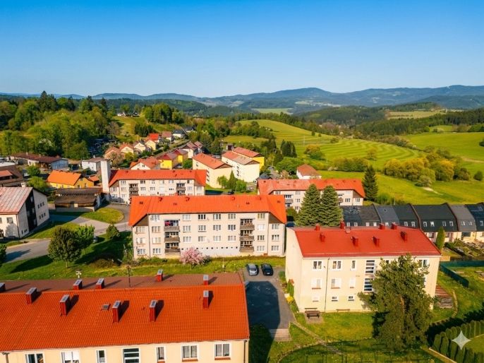 Prodej, Byt 3+1, Hartmanice