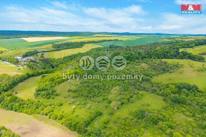 Prodej, Les, Chyňava