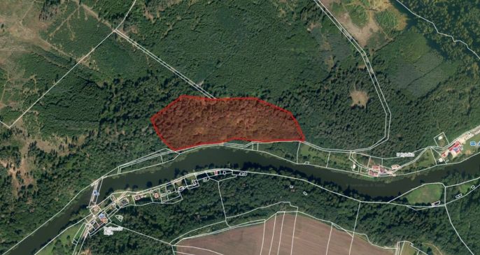 Prodej, Les, Řepeč