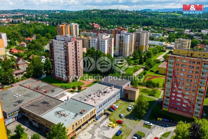 Prodej, Obchodní objekt, Český Těšín