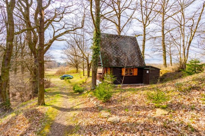 Prodej, Chata, Plavsko