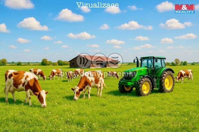 Prodej, Pole, Dolní Roveň