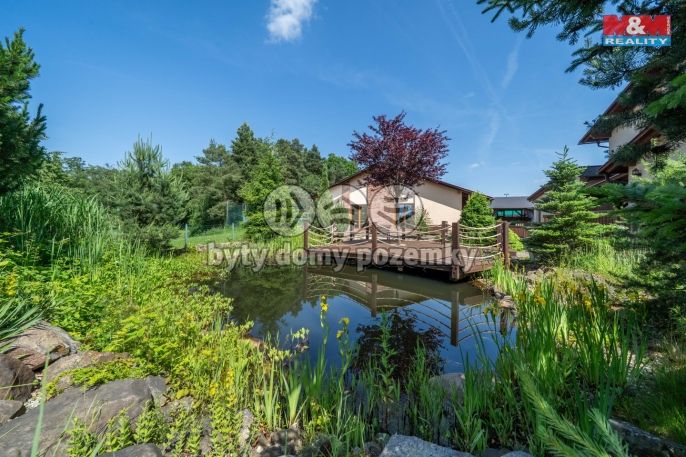 Pronájem, Ostatní, Letkov