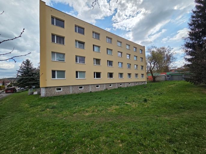 Pronájem, Byt 1+1, Nová Role