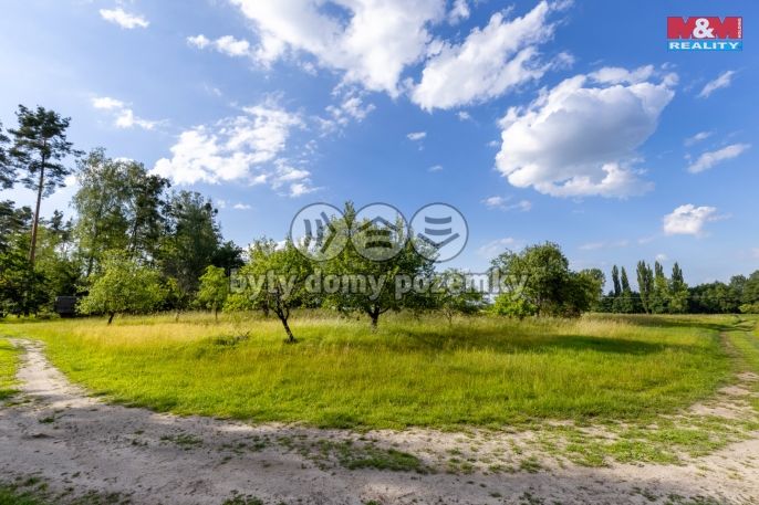 Prodej, Ovocný sad, Morašice