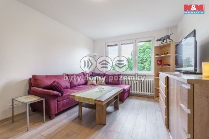 Pronájem, Byt 2+1, Nová Role