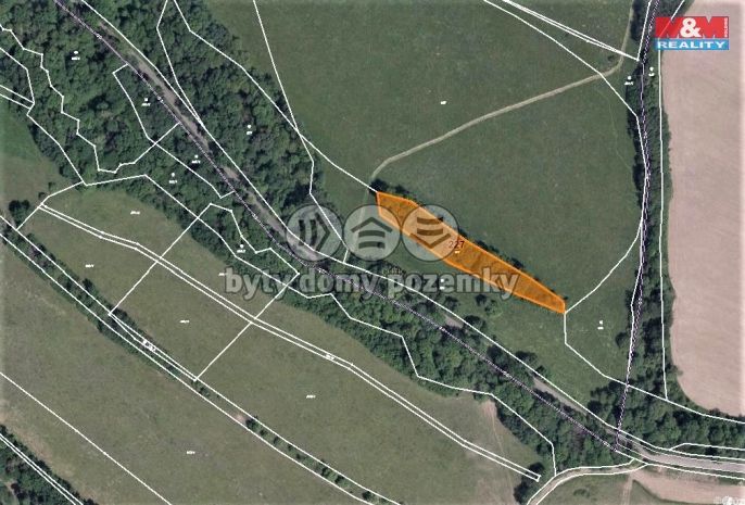 Prodej, Les, Žandov