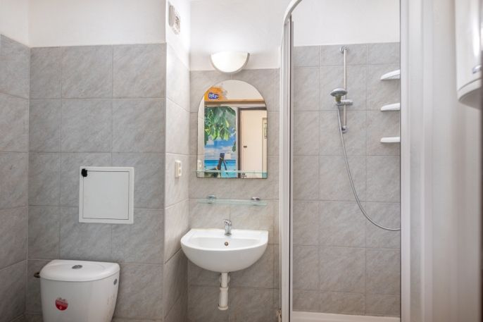 Prodej, Byt 2+1, Jankov