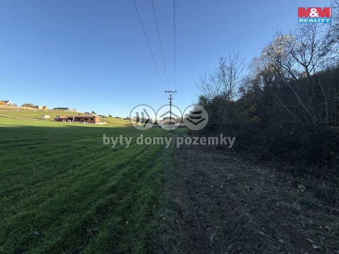 Prodej, Les, Velká Polom