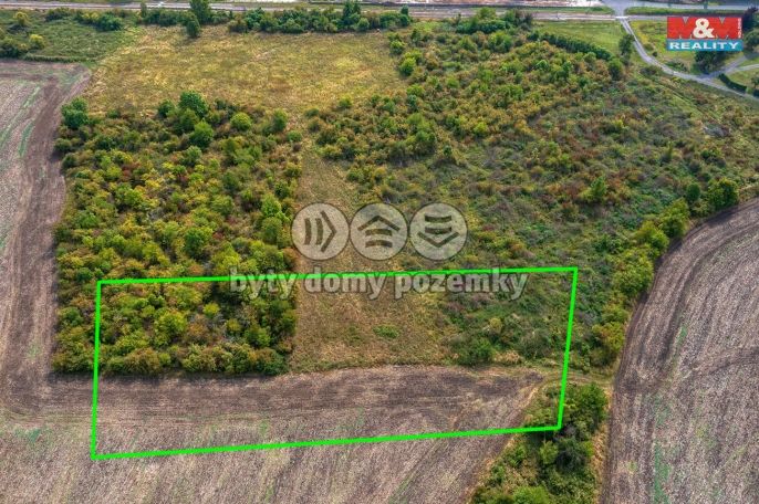 Prodej, Ovocný sad, Chotiměř