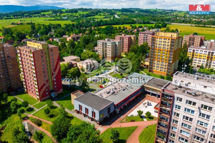 Prodej, Obchodní objekt, Český Těšín