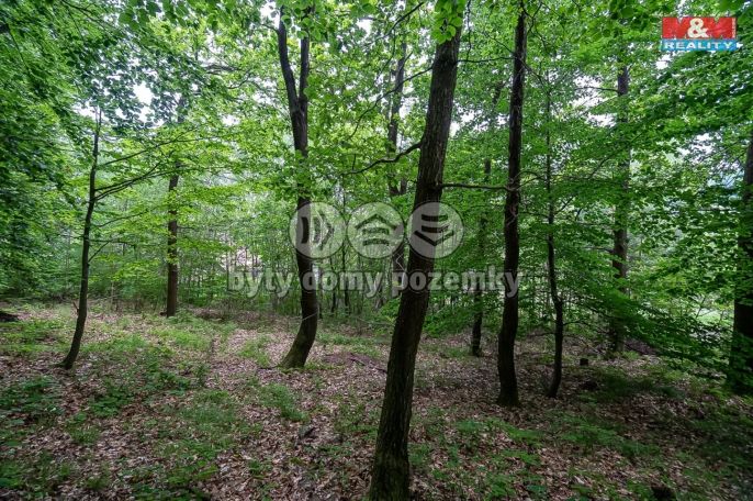 Prodej, Pozemek k bydlení, Klopina