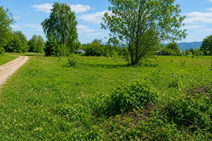 Prodej, Komerční pozemky, Liberec