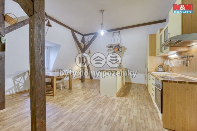 Prodej, Byt 3+1, Cheb