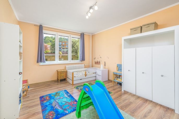 Prodej, Byt 3+1, Třemošnice