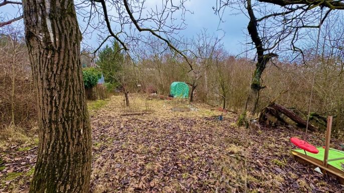 Pronájem, Zahrada, Brno