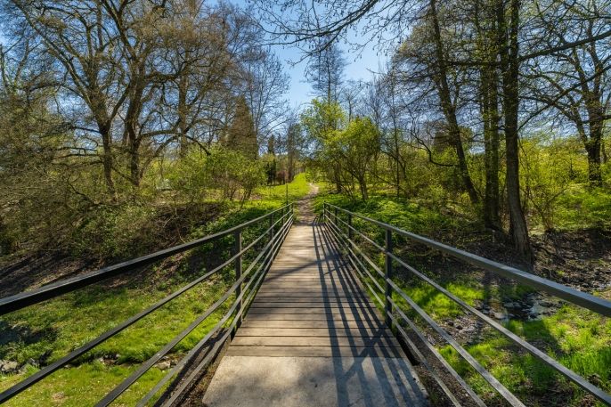 Prodej, Zahrada, Děčín