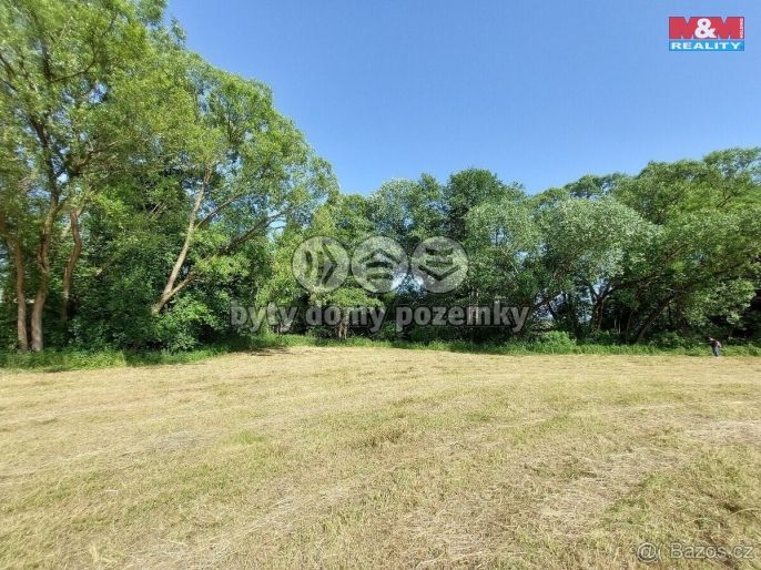 Prodej, Louka, Pravonín