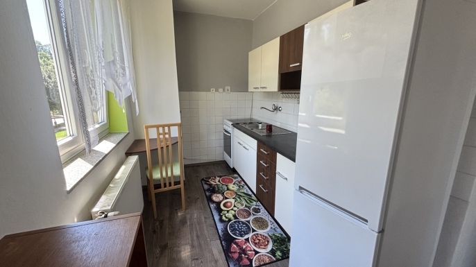 Pronájem, Byt 3+1, Březová nad Svitavou