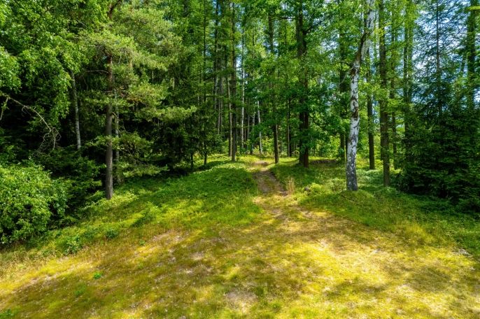 Prodej, Ostatní, Dlouhý Most