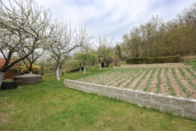 Prodej, Chata, Šternberk