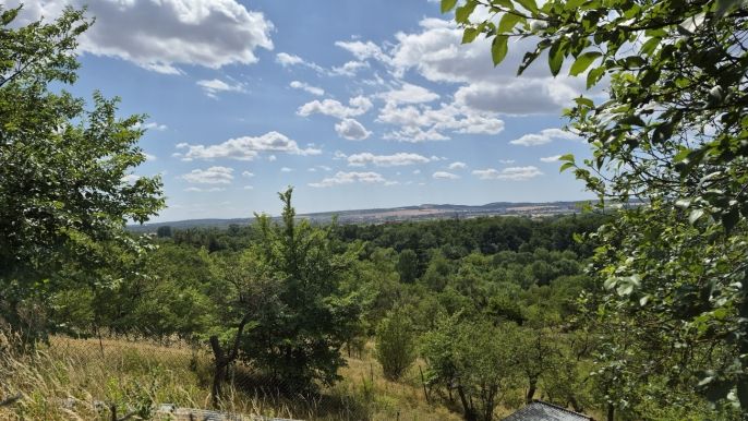 Prodej, Zahrada, Brno