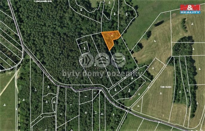 Prodej, Les, Borotín