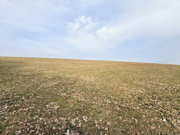 Prodej, Louka, Lichkov