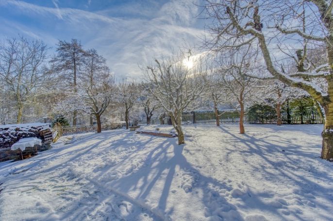 Prodej, Rodinný dům, Rejštejn