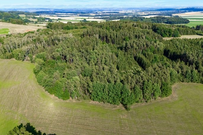 Prodej, Rodinný dům, Jistebnice