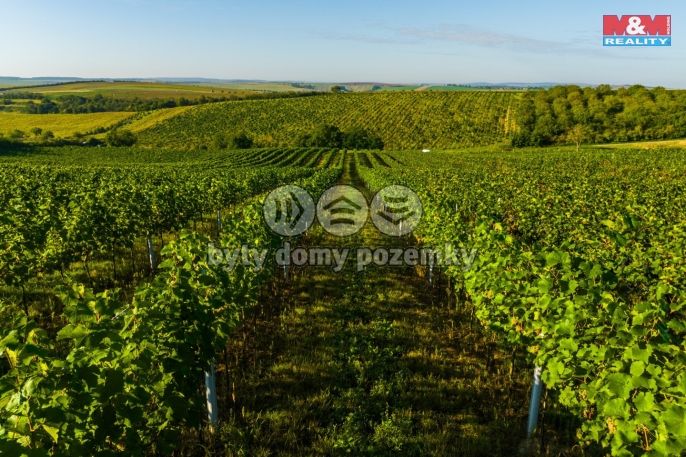 Prodej, Vinice, Šardice