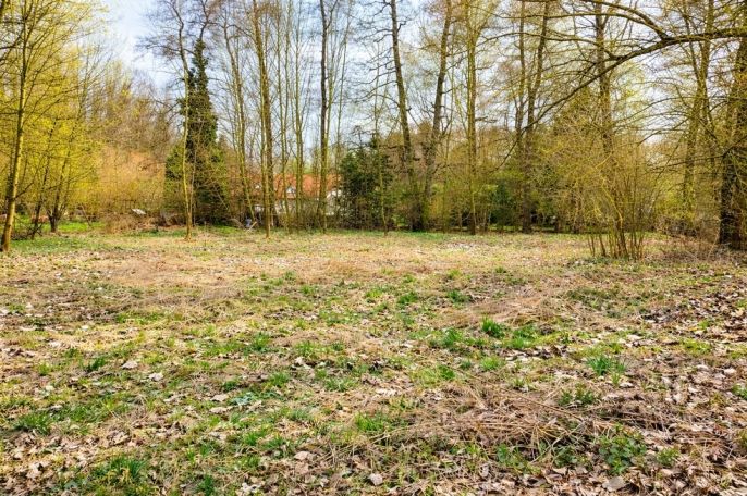 Prodej, Zahrada, Kořenice