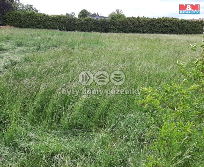 Prodej, Pole, Lázně Toušeň