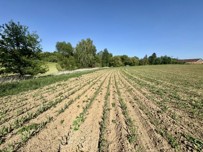 Prodej, Pozemek k bydlení, Chýstovice