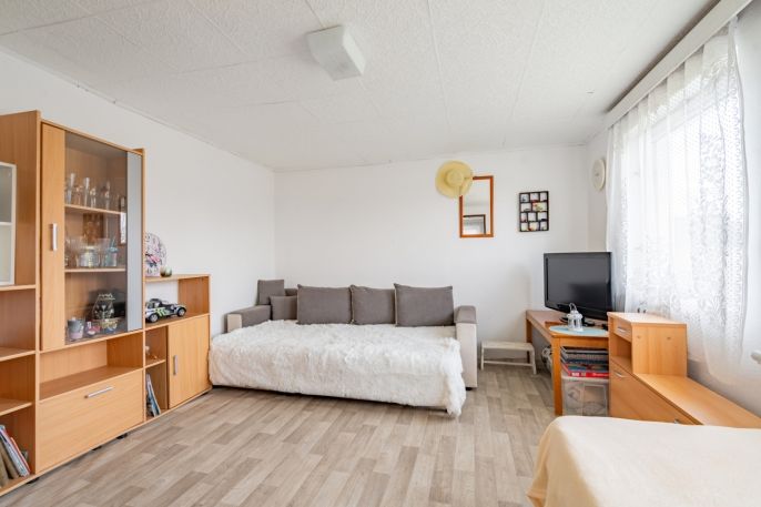 Prodej, Chata, Čížová