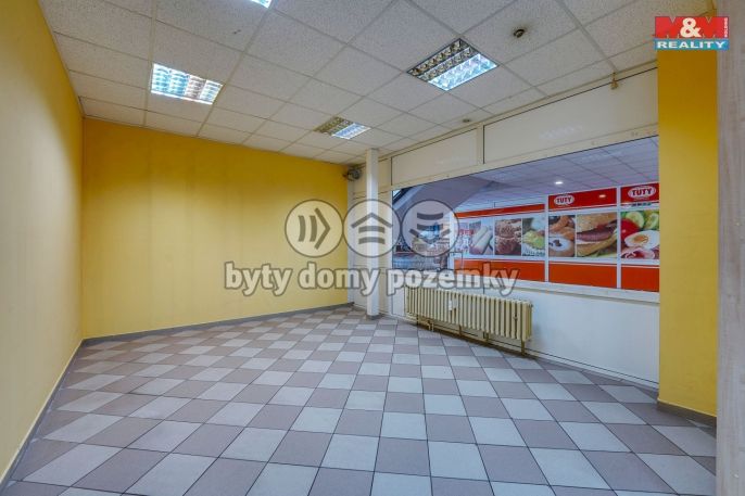 Pronájem, Obchod a služby, Třemošná