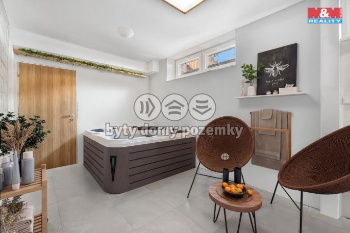 Prodej, Hotel, penzion, Borušov