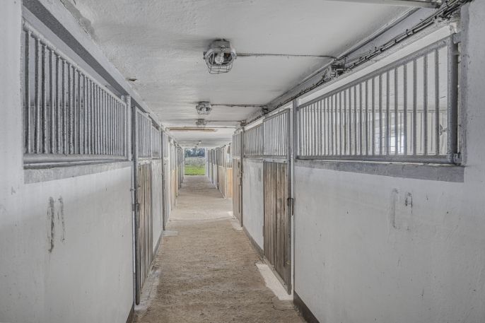 Prodej, Zemědělská usedlost, Kostomlaty nad Labem