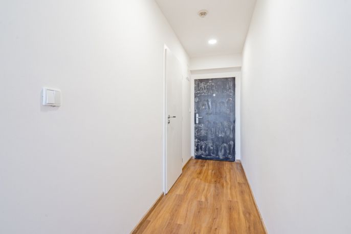 Prodej, Byt 1+kk, Praha