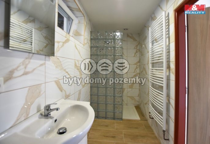 Pronájem, Byt 3+kk, Nechanice