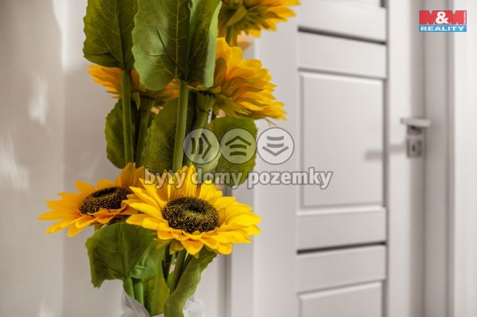 Prodej, Byt 3+1, Nový Bor