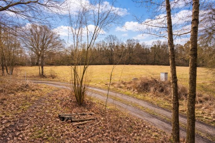 Prodej, Pozemek k bydlení, Křečovice