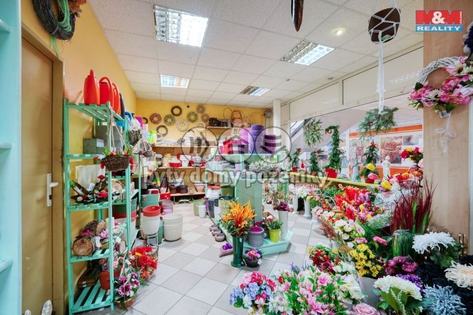 Pronájem, Obchod a služby, Třemošná