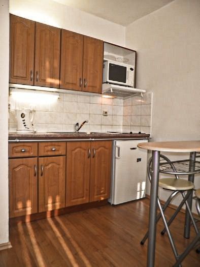 Pronájem, Byt 1+kk, Ostrava