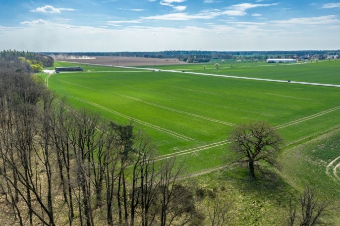 Prodej, Pole, Čistá