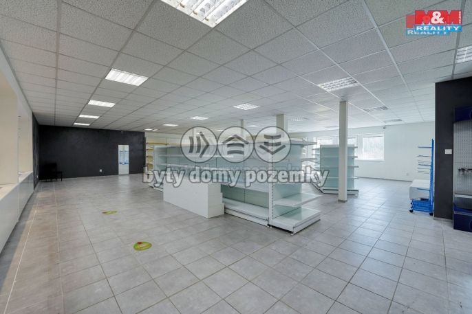 Pronájem, Obchod a služby, Třemošná