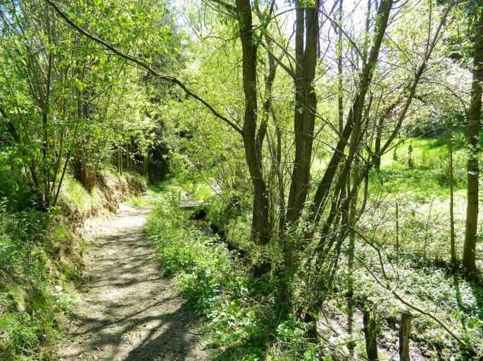 Pronájem, Chata, Ledeč nad Sázavou