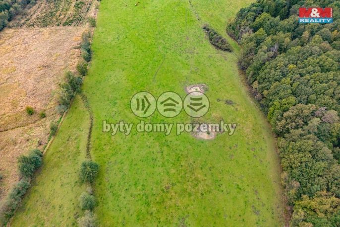 Prodej, Louka, Spálené Poříčí